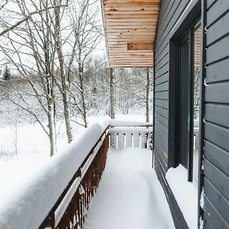 Sniegi With Sauna